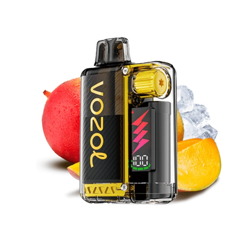 Vozol Vista Plug 2+10 Kit Mango Ice